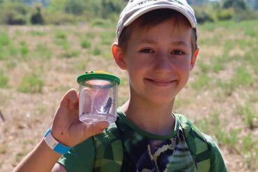 Wildlife Camp Steyr