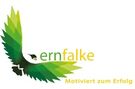 Logo Lernfalke