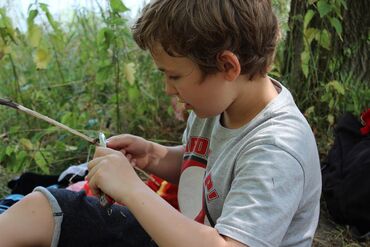 Wildlife Camp Steyr