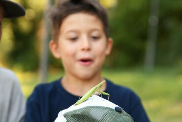 Wildlifecamp Wien / Happyland