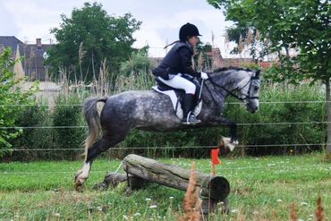 Sommerreitcamp Ponyland