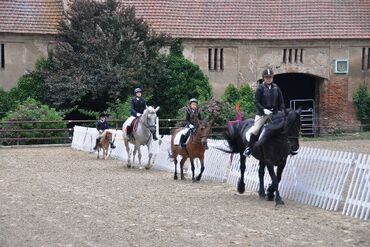 Herbstreitcamp Ponyland