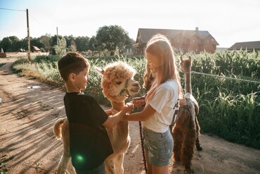 Herbst Feriencamp Tiere & Action