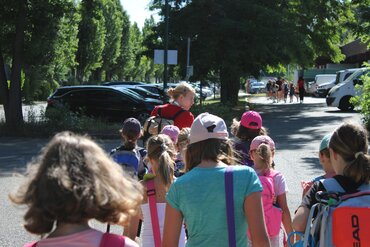 Schnuppercamps Semesterferien St. Pölten