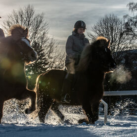 Reitcamp am Islandpferdegestüt Neujahr