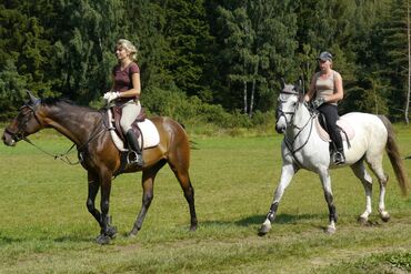 Englisch-Ferien & Reiten