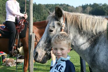 Reitcamp für Fortgeschrittene