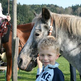 Tagesreitcamp / Herbst