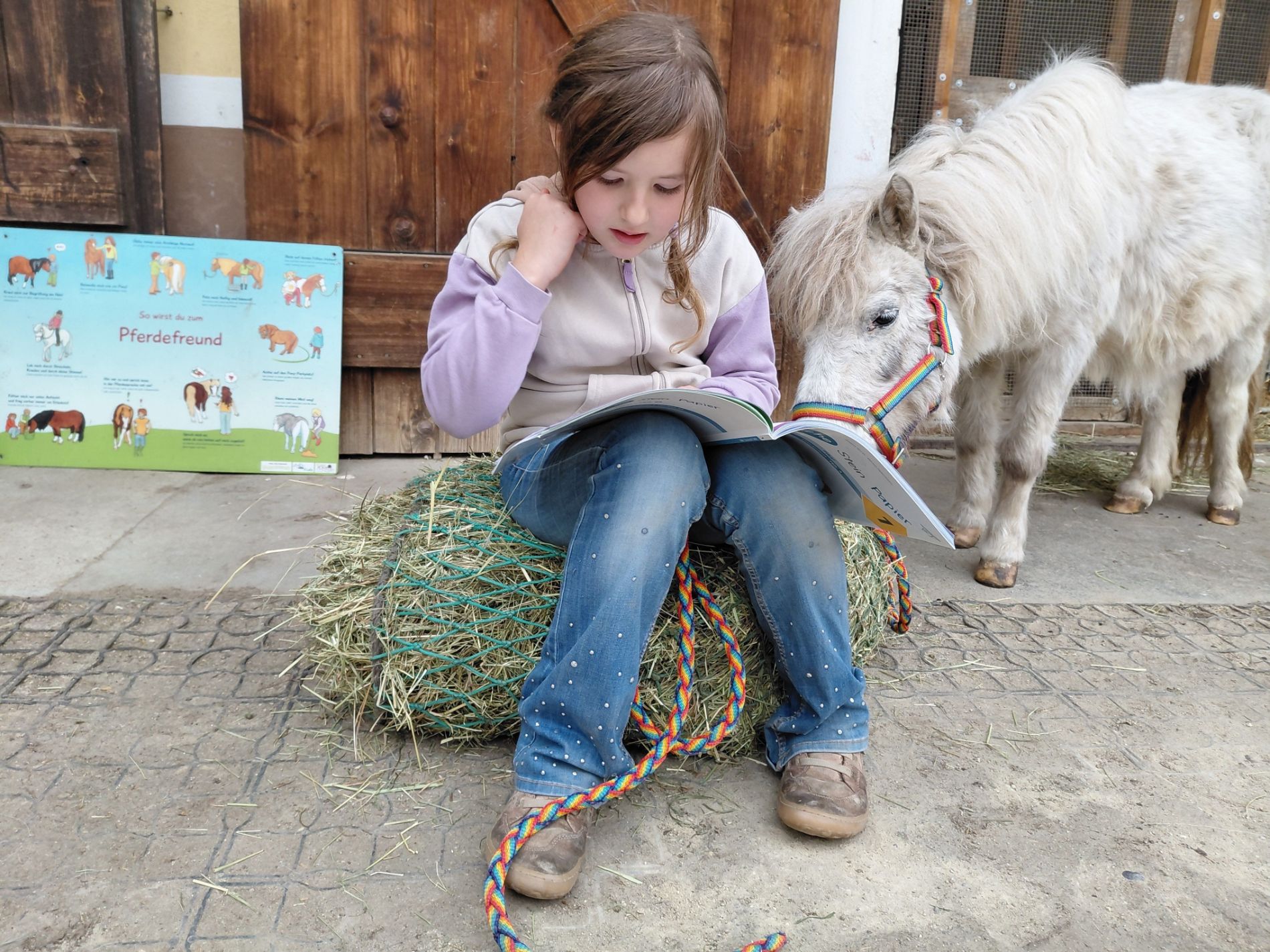 Lerntraining Pony Nachhilfe Ferien