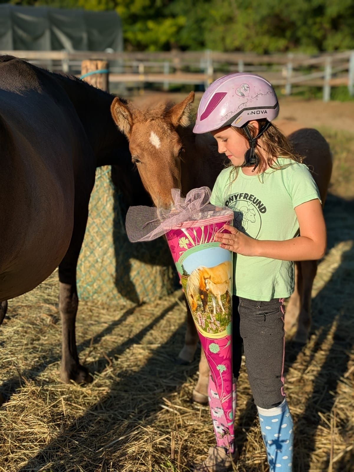 Lernen Nachhilfe Schule Kind Pony