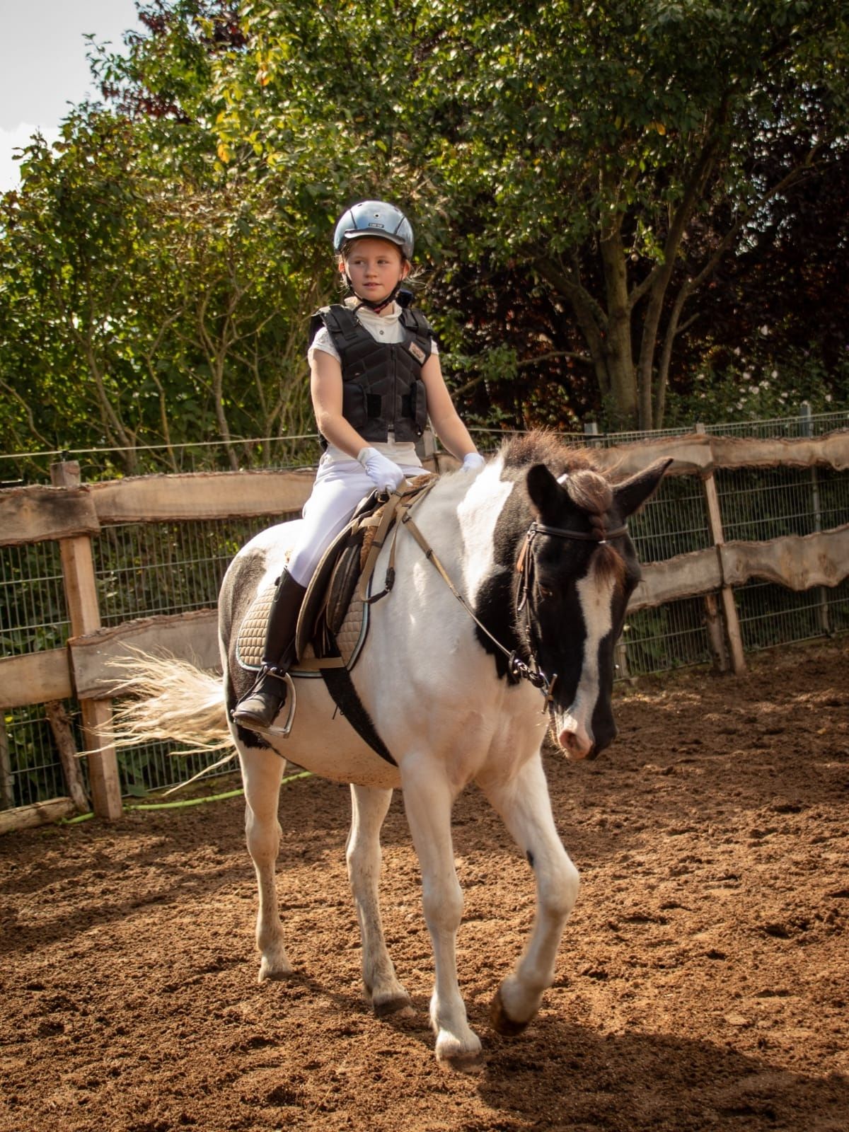 Reiten lernen Reitunterricht Kinder Ponyreiten 